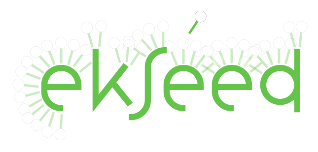 Ekseedlogo